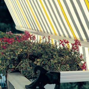 Tenda FLEXY